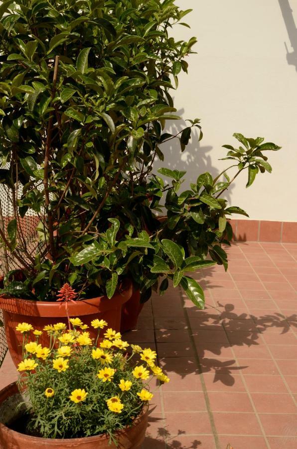 Terrazza Eurialo Apartman Nápoly Kültér fotó